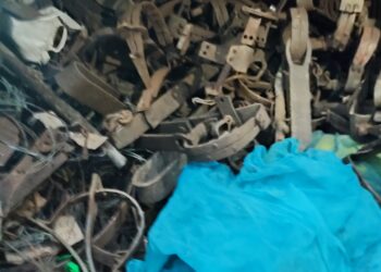 Parque Nacional da Gorongosa: “Uma área protegida e controlada, mas que alguns furtivos não desistem de tentar (…)”