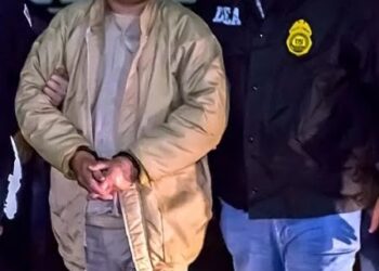 Filhos de ‘El Chapo’ alimentavam tigres com pessoas vivas, diz investigação