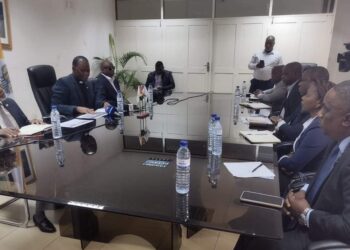 MDM defende responsabilização disciplinar e criminal de todos os brigadistas que violarem a lei do recenseamento eleitoral