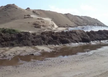 População em protesto contra mineradora chinesa na Zambézia