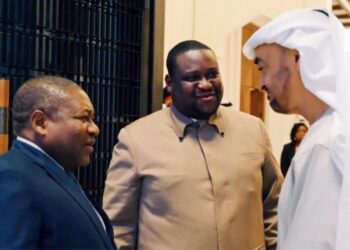 “O principal beneficiário da concessionária do Porto de Maputo é a família real dos Emirados Árabes Unidos” – “Os amigos do Presidente Nyusi”