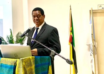 Rosário Fernandes defende que é “ilegal o dirigente do Estado ser também líder de um partido político”