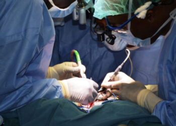 Comunidade Médica de Língua Portuguesa defende mobilidade de médicos