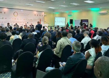 INP encoraja investidores a regressarem a Cabo Delgado