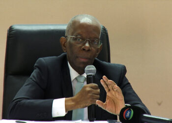 Adriano Maleiane desvaloriza registo de empresas de golpistas