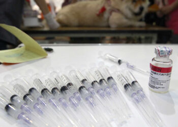 UE financia em mais de 750 milhões de Euros a produção de vacinas em África