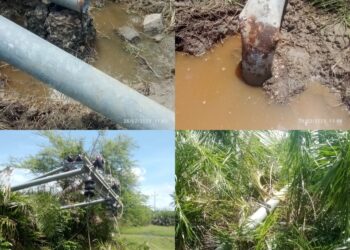 Dias caóticos em Chinde: Manifestantes derrubam postes de energia e saqueiam armazém do INGD