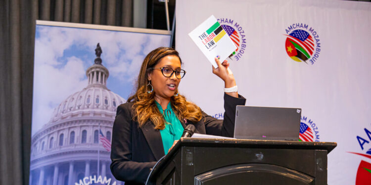 Diálogos Climáticos Maputo: debate soluções inovadoras e parcerias para empoderar mulheres e raparigas nas Energias Renováveis