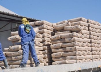 Preço do Cimento em Moçambique: Dugongo defende projecção competitiva, mas desafios persistem