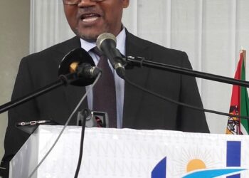 “Gás natural mal gerido pode ser um veneno para o País”, alerta Hélder Muteia