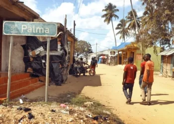Regresso total da população a Palma sinaliza estabilização no norte de Cabo Delgado