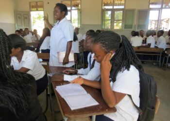 Ministério da Educação clarifica critérios de progressão escolar sem exames