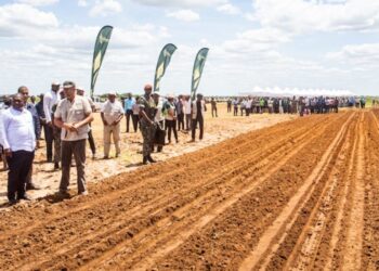 Já agora, para quando uma comissão de inquérito multissectorial para investigar os contornos do programa SUSTENTA?