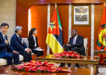 Presidente Chapo recebe garantias de investimentos da Singita e Daewoo interessados em turismo e gás natural