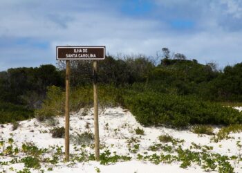 Executivo concede ao INATUR o direito de desenvolver e negociar um empreendimento turístico na Ilha Santa Carolina, em Inhambane