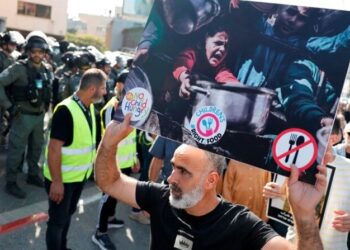 Fome em Gaza. Programa Alimentar Mundial alerta para situação dramática