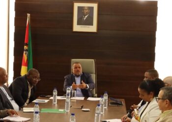 MAAP e CTA em concertação para o alinhamento de prioridades na dinamização do agronegócio e pescas em Moçambique