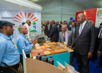 Cabo Delgado destaca potencial económico em busca de investimento na FACIM