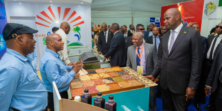 Cabo Delgado destaca potencial económico em busca de investimento na FACIM