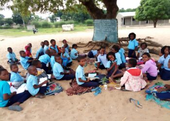 Moçambique: 2º vice-PAR questiona as razões por trás do Ministério da Educação não estar a utilizar uma escola condigna construída pela Autarquia de Quelimane