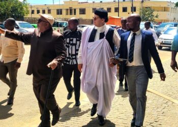 Investimento Líbio pretende transformar Nampula num dos principais pólos de produção e processamento de arroz no País