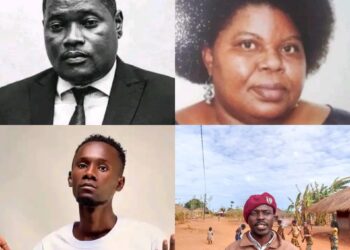 ANAMOLA dá títulos de honra para Glória Nobre, Elvino Dias, Mano Shottas e Arlindo Chissale