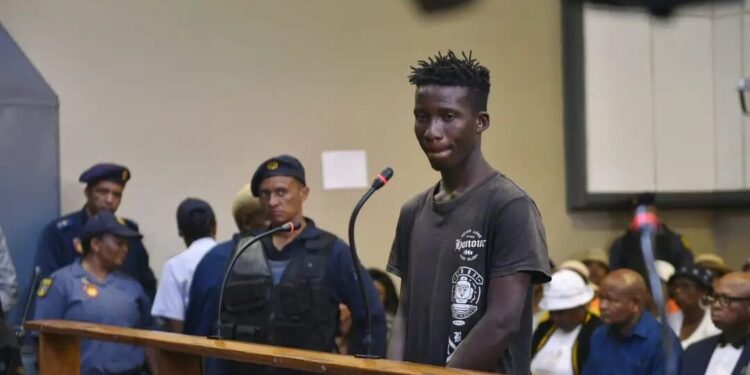 Moçambicano condenado a duas penas perpétuas por violação e assassinato de uma criança de seis anos na África do Sul
