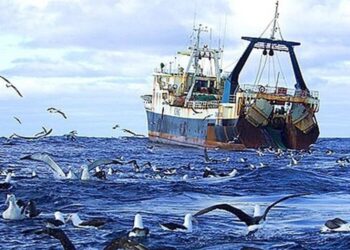 Moçambique lança projecto internacional para travar perdas milionárias na pesca ilegal