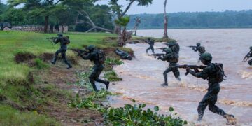 Terrorismo em Cabo Delgado e o DNI: “É preciso perseguir até ao último homem e responsabilizar pelos danos causados”, defende Activista