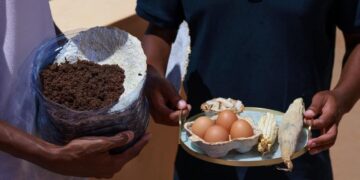 Agriview coloca Moçambique no mapa da inovação sustentável ao vencer Prémio África de Inovação em Engenharia