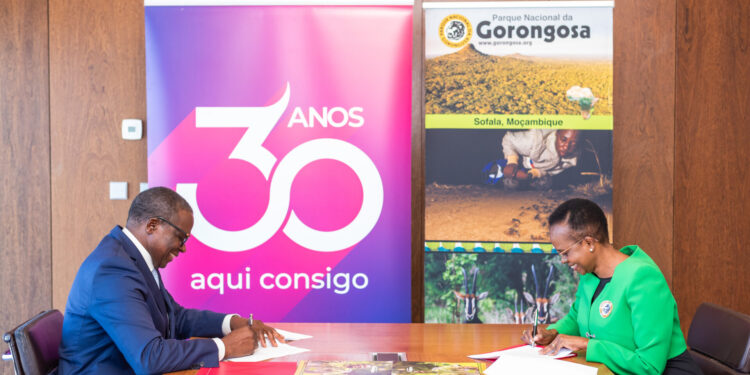 Millennium bim renova parceria com Parque Nacional da Gorongosa  para enfrentar desafios ambientais e apoiar comunidades