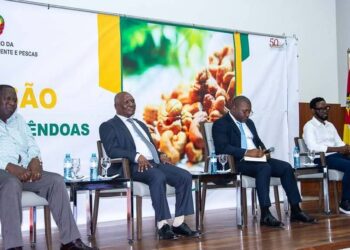 Preço de referência da castanha de caju fixado em 45 Meticais por quilograma