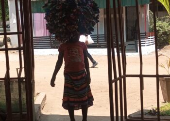 A luta da pequena Lurdes!