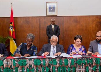 Sector privado une esforços para impulsionar o desenvolvimento sustentável em Cabo Delgado