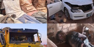 O ouro de Manica: Entre a suspensão, a violência e a acção dos privilegiados