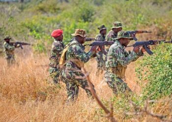 Memba enfrenta novo ciclo de violência enquanto operações militares avançam