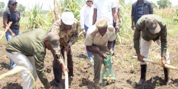 Em Manica: Produção agrícola permite autonomia alimentar de reclusos por 8 meses