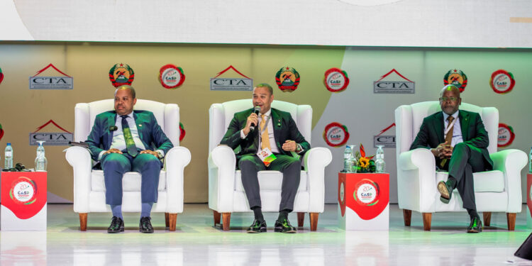 Millennium bim reforça que a organização empresarial é chave para transformar financiamento em crescimento – CASP 2025