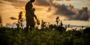 BAD aprova subvenção de 6 milhões de dólares para reforçar a gestão do risco de catástrofes em África