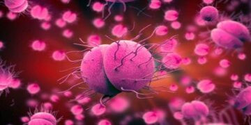 África do Sul, Malawi e outros países africanos registam altos casos de gonorreia resistente a medicamentos