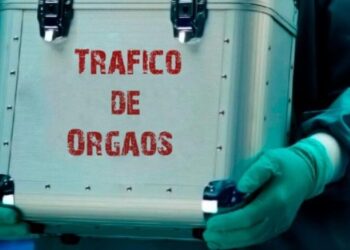 Detido suposto traficante de órgãos humanos e falsificação de documentos em Nampula