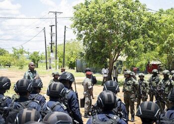 “Sou muito grato às Forças Armadas de Ruanda pelo excelente trabalho que estão realizando em Moçambique”, afirma Daniel Chapo