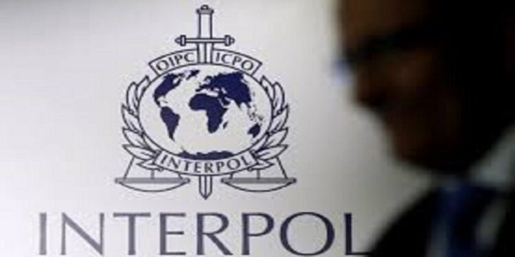 A INTERPOL em Moçambique e o desconforto dos criminosos!