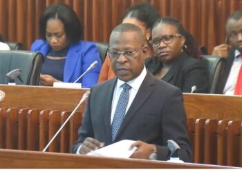 Provedor de Justiça diz que há má interpretação do direito à manifestação pelo que propõe educação cívica