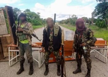 Moçambique: Terroristas montam portagens clandestinas em Muidumbe, revistam viaturas e exigem 10 mil Meticais para cada três pessoas
