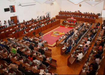 A AR infringiu a CRM e o regimento da instituição ao unir as propostas de lei do PES e do OE?