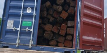 AQUA-IP interrompe operação ilegal de madeira e apreende três camiões no Posto de Dona Rosa em Tete