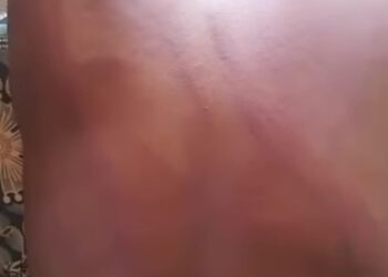 ANAMOLA repudia onda de violência contra a população de Mogovolas, em Nampula