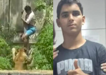 Jovem de 19 anos morre em jardim zoológico no Brasil após invadir jaula de leoa