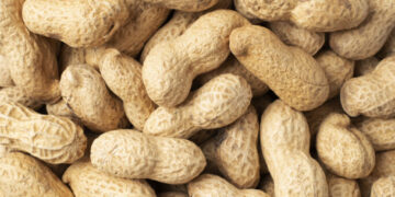 Nampula quer pôr fim ao problema da roseta que está afectando a cultura do amendoim